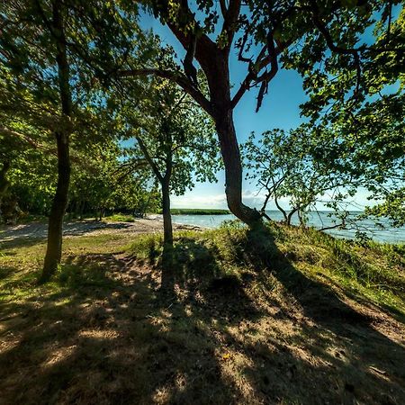 Traumhaff Kuestenchalets - Einzigartige Chalets An Der Ostsee. Ganz Aus Laerchenholz Mit Kamin Und Sauna Vogelsang-Warsin ภายนอก รูปภาพ
