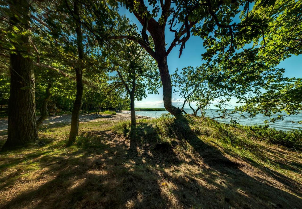Traumhaff Kuestenchalets - Einzigartige Chalets An Der Ostsee. Ganz Aus Laerchenholz Mit Kamin Und Sauna Vogelsang-Warsin ภายนอก รูปภาพ